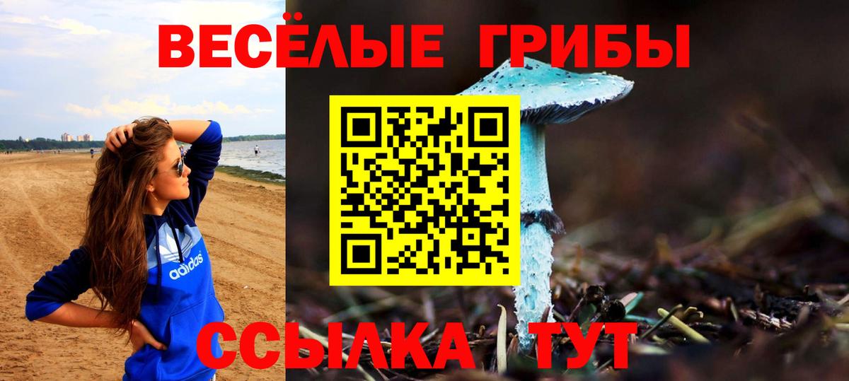Балаково  Галлюциногенные грибы мицелий  Вход с VPN 